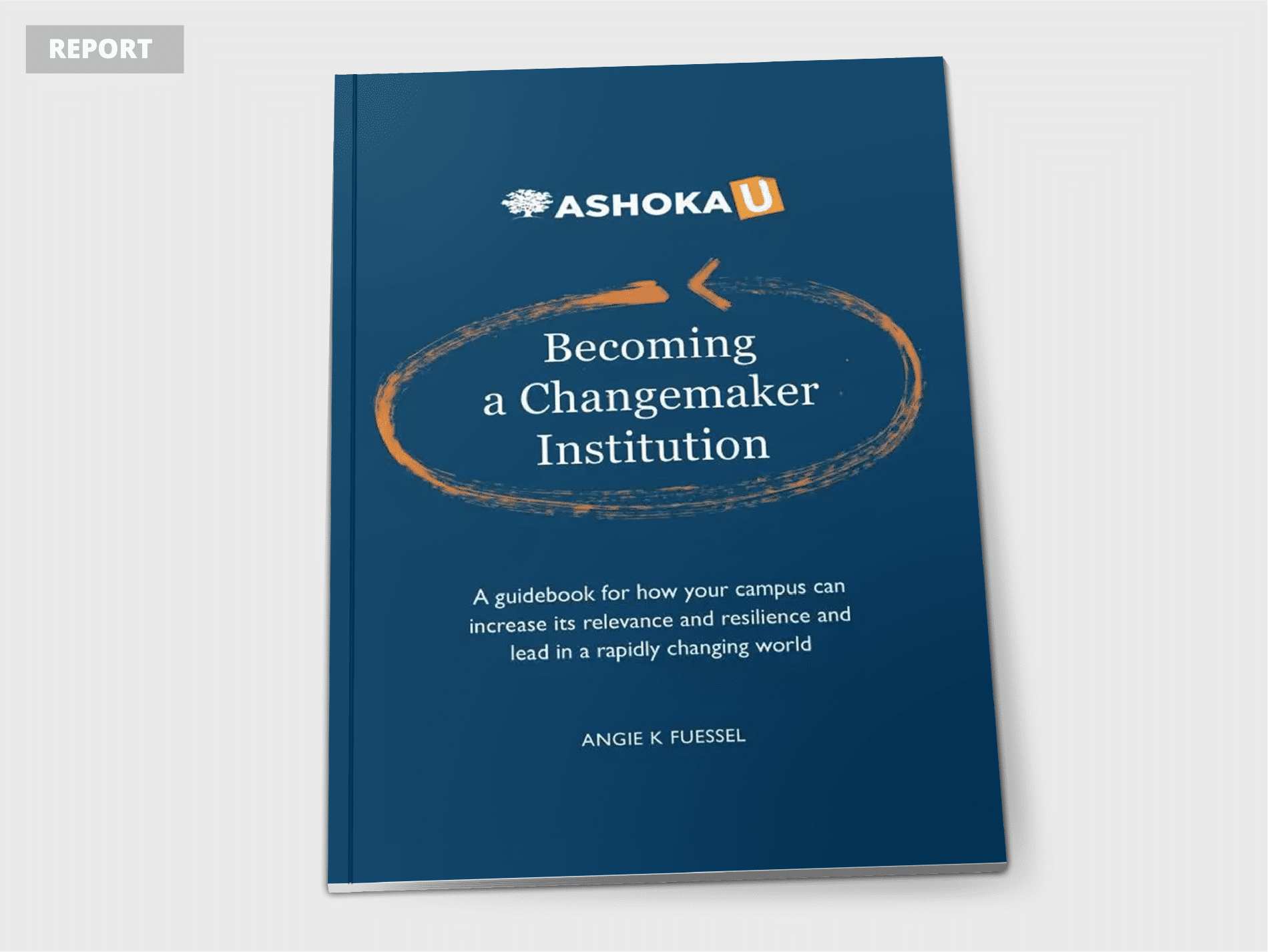 becoming a changemaker institution