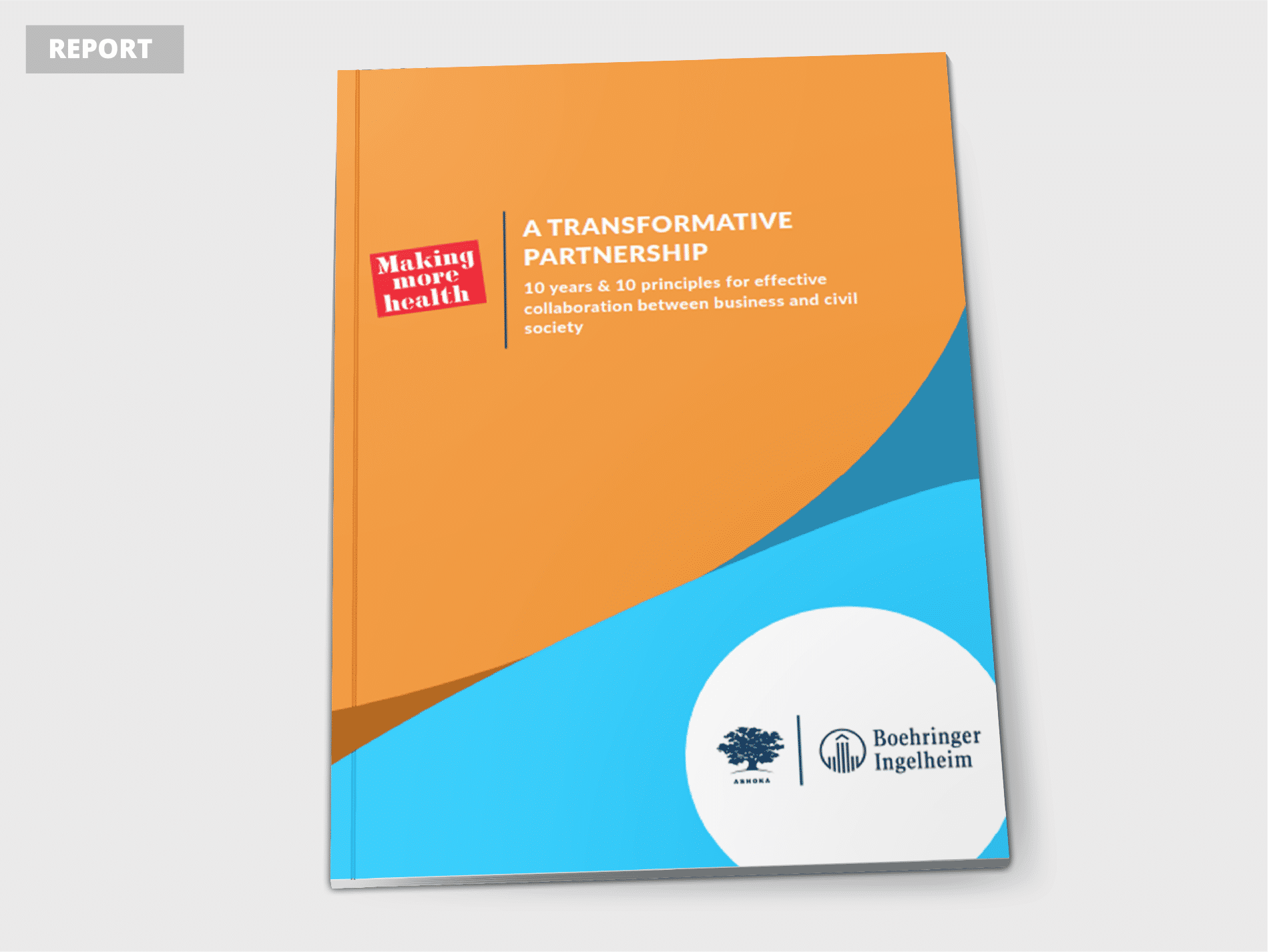 Making More Health Partnership