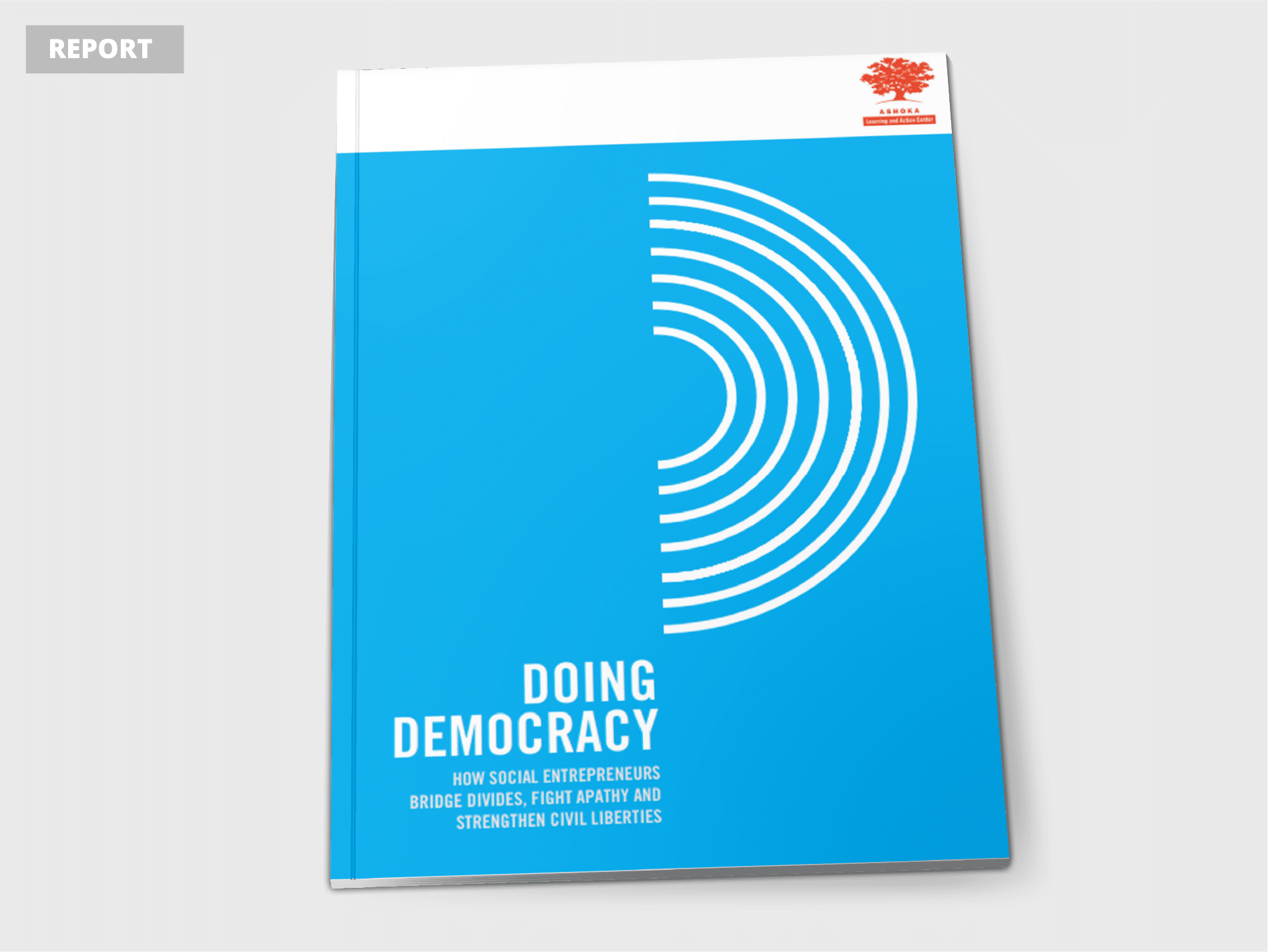 Doing Democracy