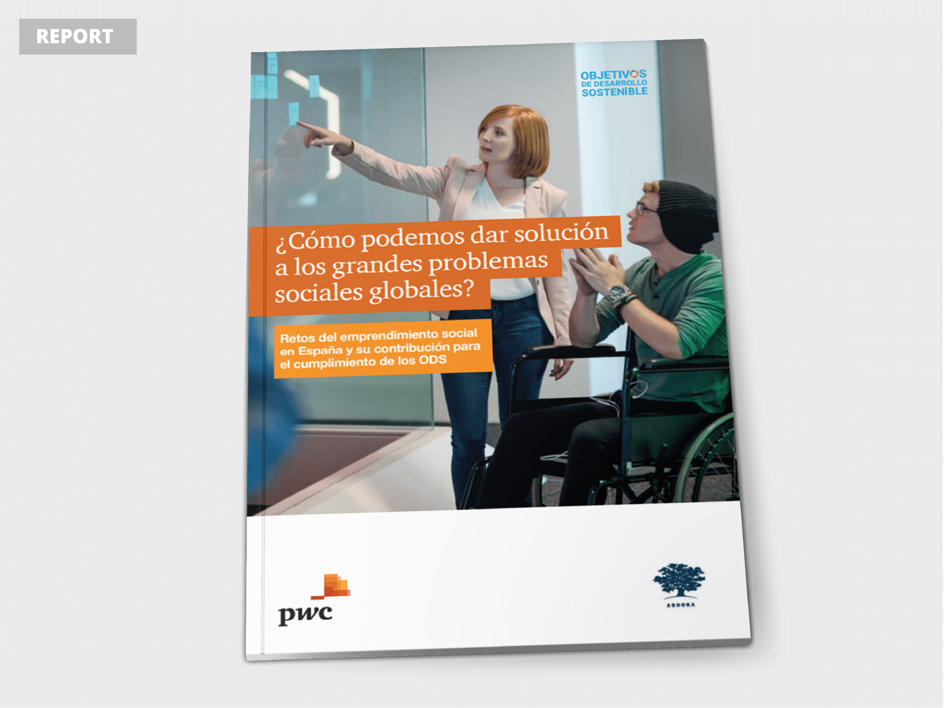 ods emprendimiento social
