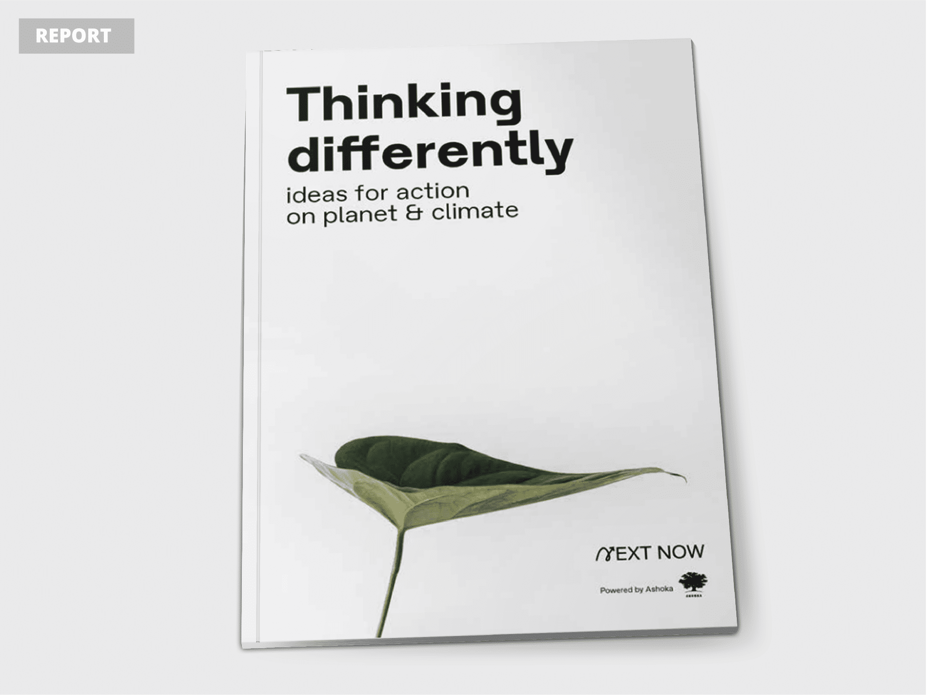 Thinking Differently