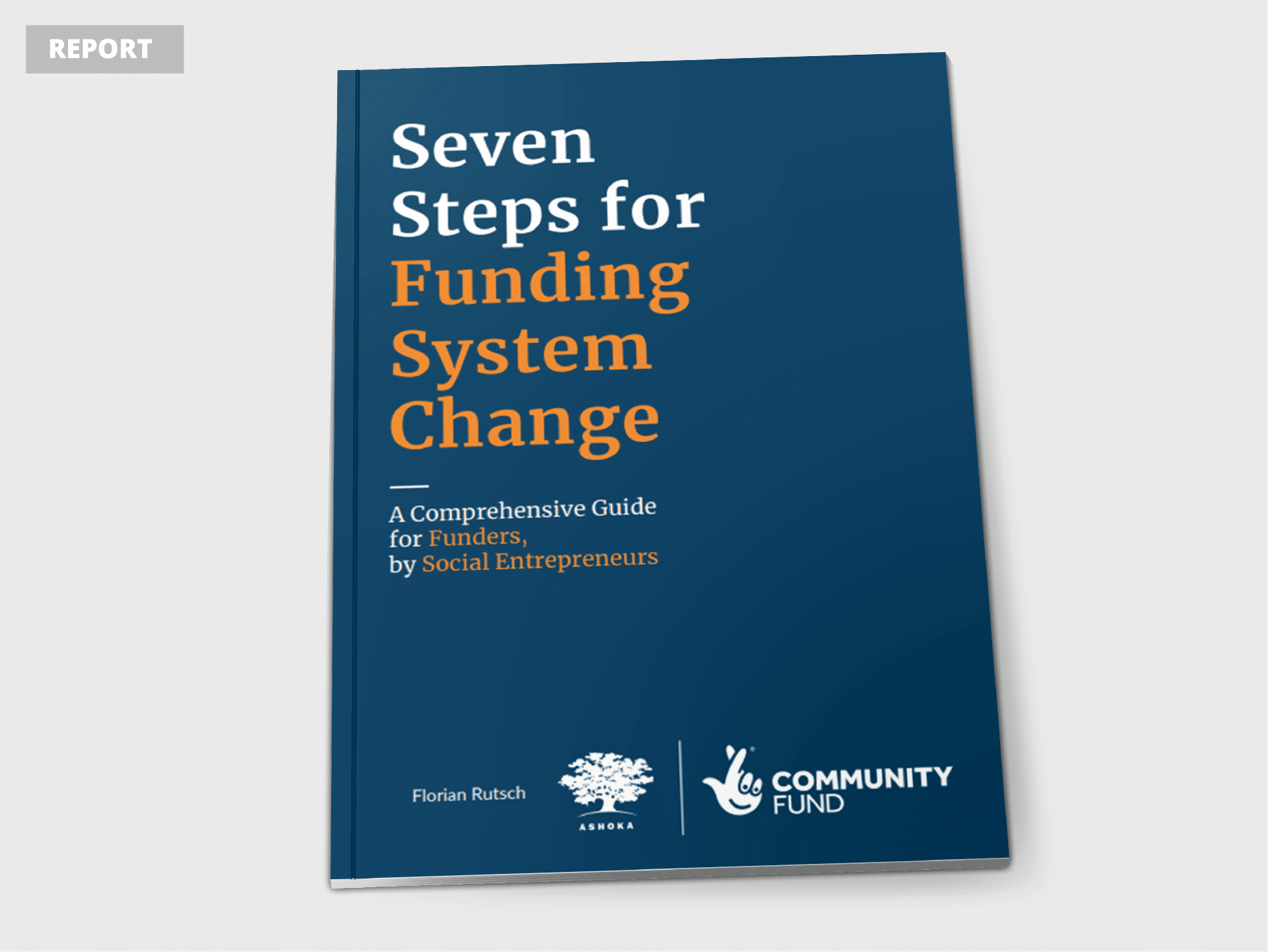 seven steps for systems change