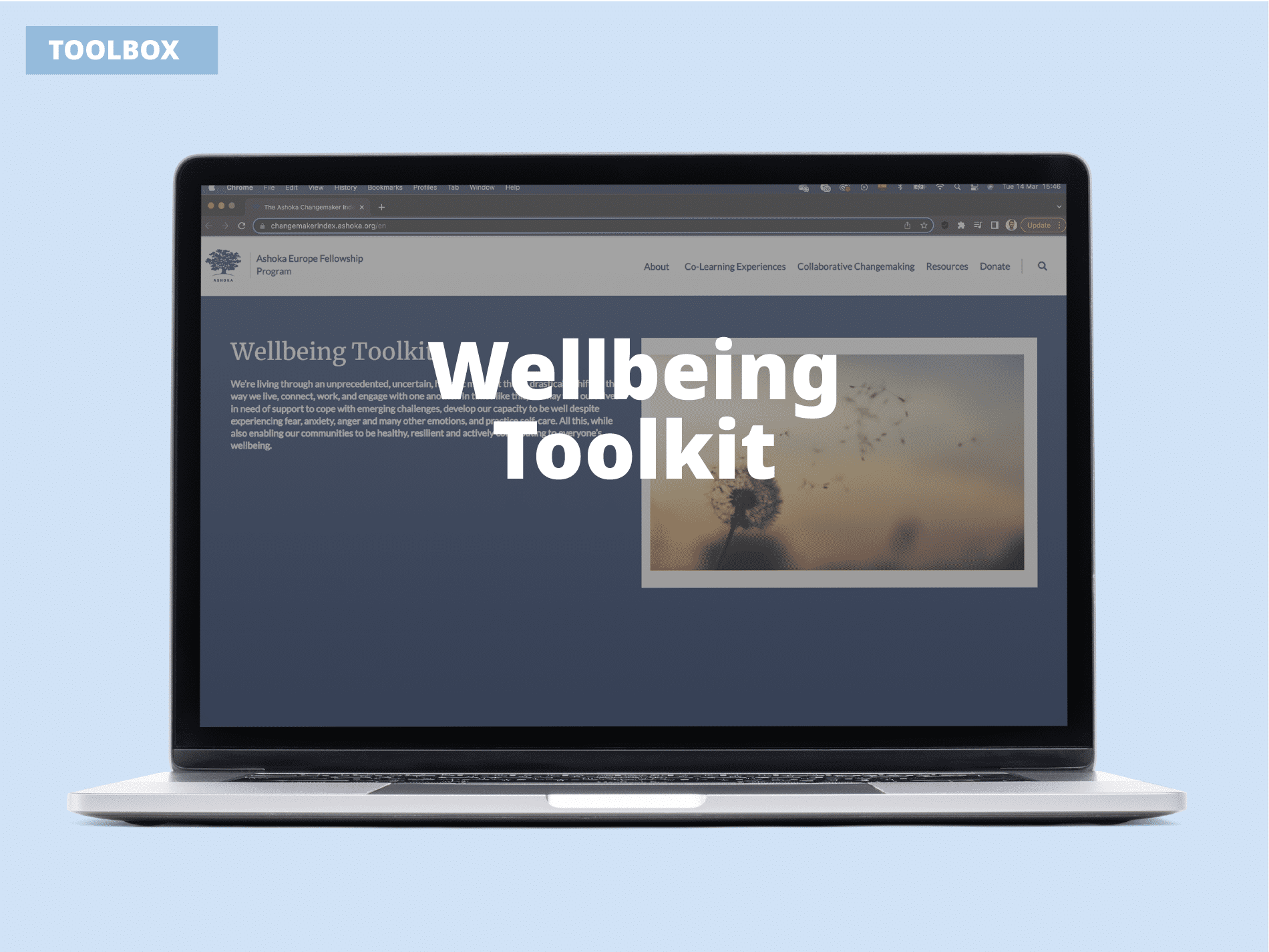 wellbeing toolkit