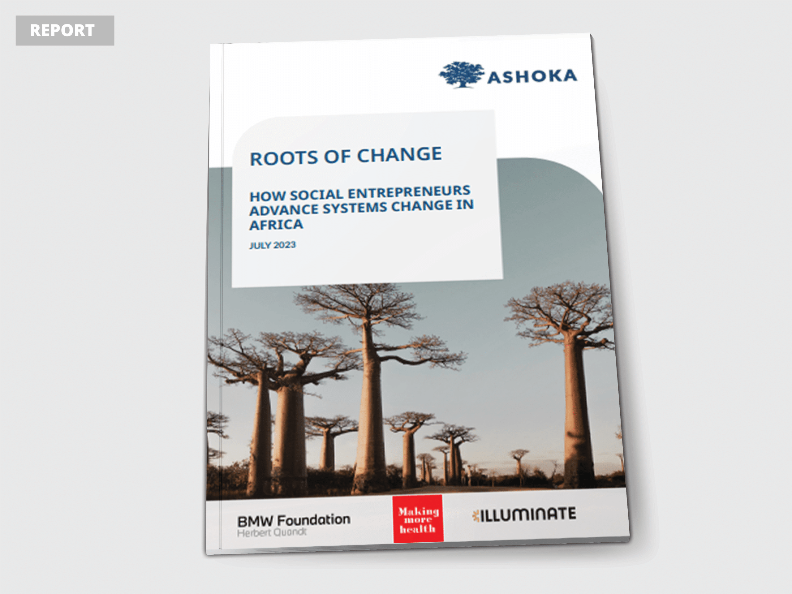 roots of change Report
