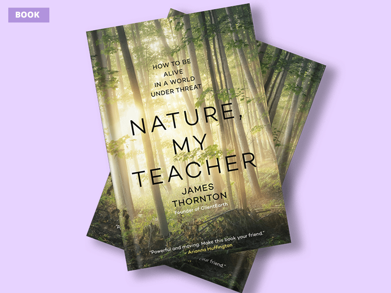 Ashoka Fellow book: "Nature, My Teacher"