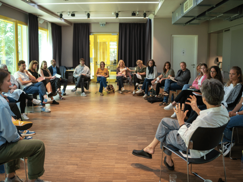 Ashoka Visionary Program 