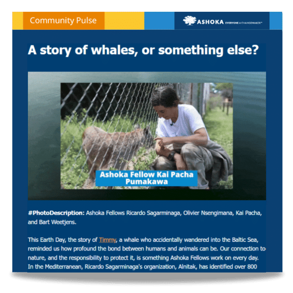 A story of whales. Ashoka Community Pulse